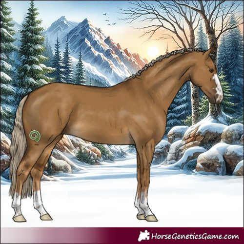 Horse Color:Chocolate Palomino Dun 