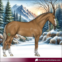 Horse Color:Chocolate Palomino Dun 