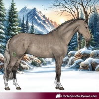 Horse Color:Silver Smoky Grullo Sabino Rabicano 