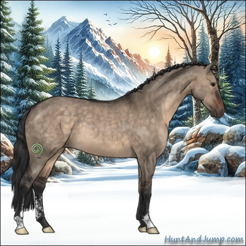 Horse Color:Brown Dun Sabino Rabicano 