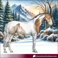 Horse Color:Silver Buckskin Sabino Tobiano