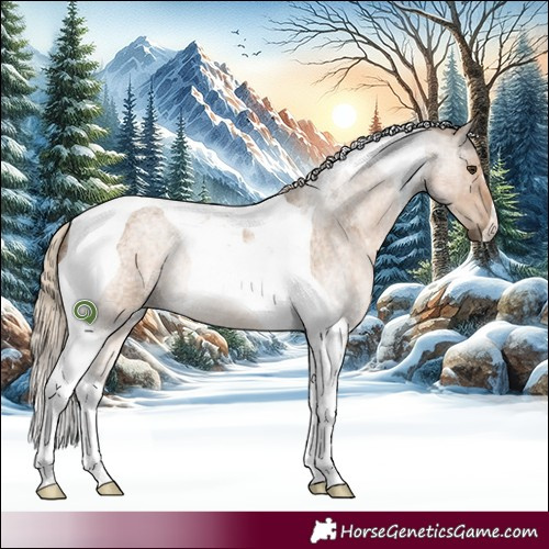 Horse Color:Chocolate Palomino Roan Tobiano