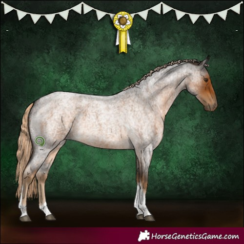 Horse Color:Chocolate Palomino Roan Tobiano