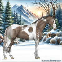 Horse Color:Silver Smoky Black Sabino Tobiano 