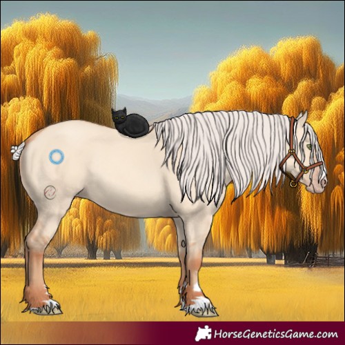 Horse Color:Silver Amber Champagne Dun Rabicano 