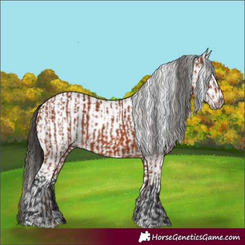 Horse Color:Bay Sabino Rabicano  and White Spotted Bay Sabino Rabicano 