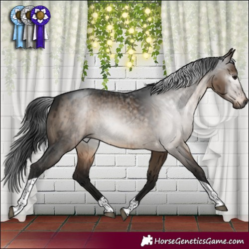 Horse Color:Gray Brown Dun Mushroom Sabino Tobiano Brindle 