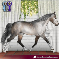 Horse Color:Gray Brown Dun Mushroom Sabino Tobiano Brindle 