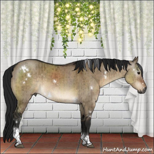 Horse Color:Gray White Spotted Brown Dun Tobiano Rabicano Brindle 