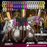 Horse Color:Silver Black Sabino Near Leopard Rabicano 