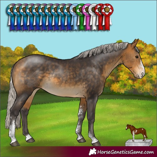 Horse Color:Silver Buckskin Sabino Rabicano 