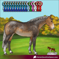 Horse Color:Silver Buckskin Sabino Rabicano 