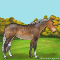 Horse Color:Silver Buckskin Sabino Rabicano