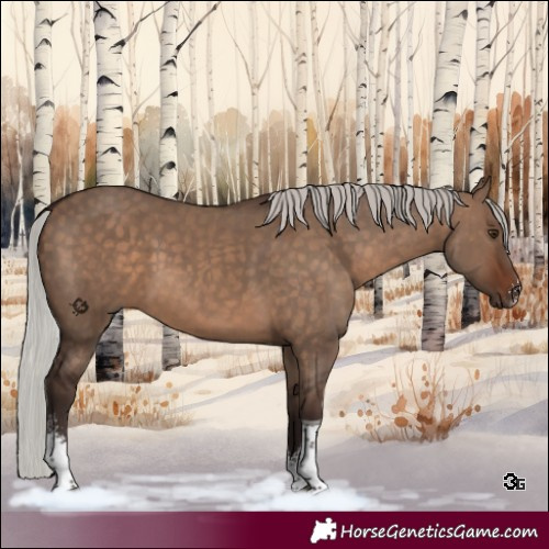 Horse Color:Silver Brown Dun Sabino Tobiano 