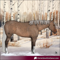 Horse Color:Silver Brown Dun Sabino Tobiano