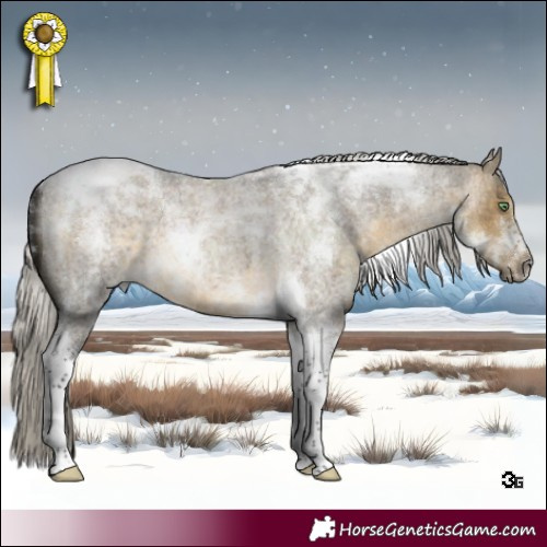 Horse Color:Silver Buckskin Roan Dun Tobiano 