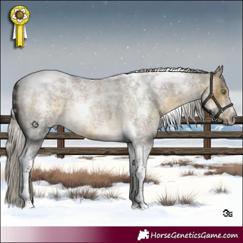 Horse Color:Silver Buckskin Roan Dun Tobiano 