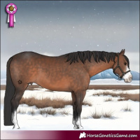 Horse Color:Brown Sabino 