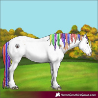 Horse Color:Painted Bay Dun Splash Tobiano 