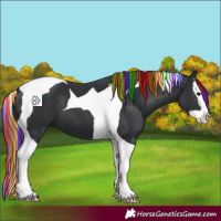 Horse Color:Painted Black Splash Tobiano