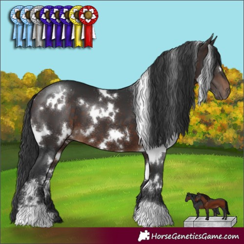 Horse Color:White Spotted Brown 