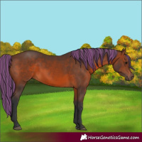 Horse Color:Painted Brown 