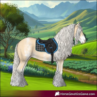Horse Color:White Spotted Gold Cream Champagne 