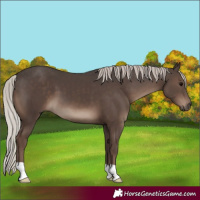 Horse Color:Silver Black 