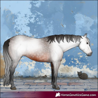 Horse Color:Gray Bay 
