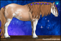 Horse Color:Chestnut Pearl Sabino Rabicano