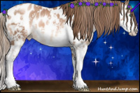 Horse Color:Liver Chestnut Pearl Sabino Appaloosa Rabicano