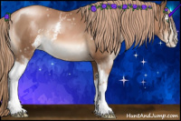 Horse Color:White Spotted Liver Chestnut Pearl Sabino 