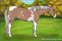 Horse Color:Silver Brown Dun Sabino Tobiano