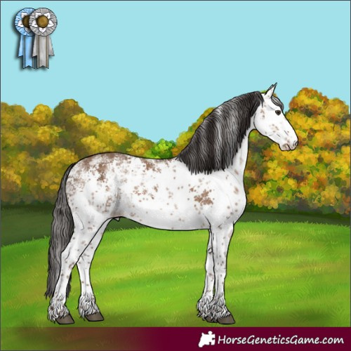 Horse Color:White Spotted Liver Red Dun Sabino 