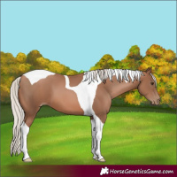 Horse Color:Silver Black Pearl Tobiano 