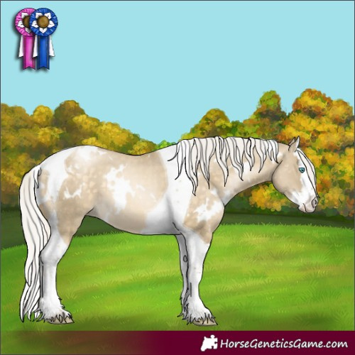 Horse Color:White Spotted Silver Buckskin Pearl Dun Splash Tobiano 