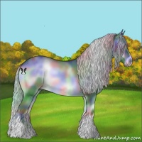 Horse Color:Nacre Silver Blue Onyx Chinchilla 