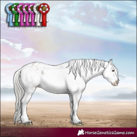 Horse Color:White Spotted Liver Red Dun Mushroom Varnish 