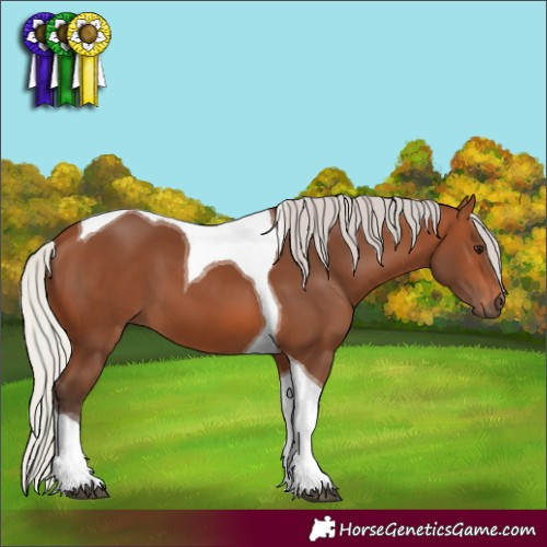 Horse Color:Silver Brown Tobiano 