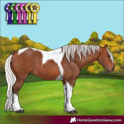 Horse Color:Silver Brown Tobiano 