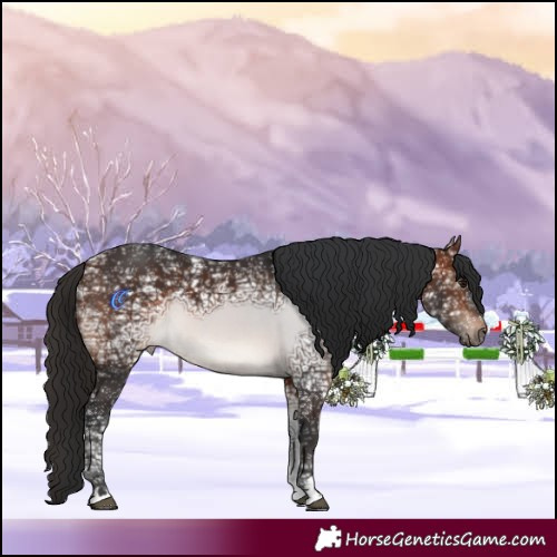 Horse Color:Brown Ice 