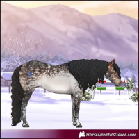 Horse Color:Brown Ice 