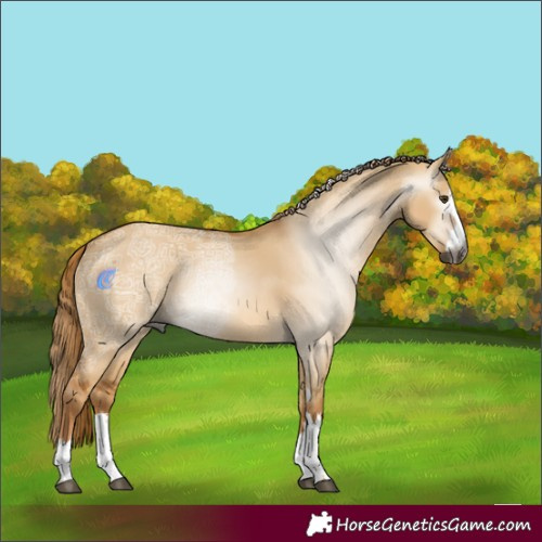 Horse Color:Gray Red Dun Ice 