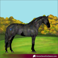 Horse Color:Void White Spotted Midnight Blue Onyx Ice 