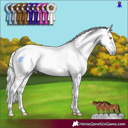Horse Color:Gray White Spotted Bay Pearl Tobiano 