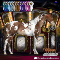 Horse Color:Gray White Spotted Bay Pearl Tobiano