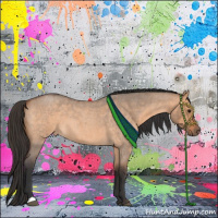 Horse Color:Bay Roan Dun 