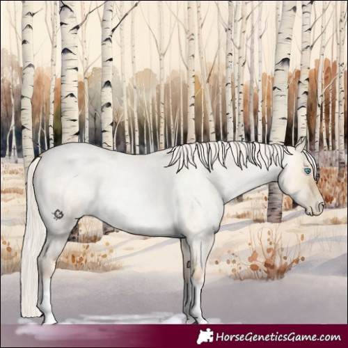 Horse Color:White Spotted Silver Buckskin Roan Pearl Dun 