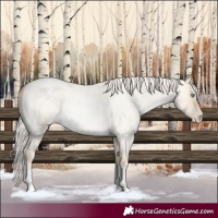 Horse Color:White Spotted Silver Buckskin Roan Pearl Dun 
