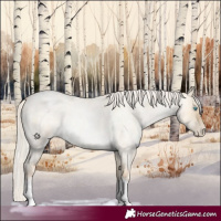 Horse Color:White Spotted Silver Buckskin Roan Pearl Dun 